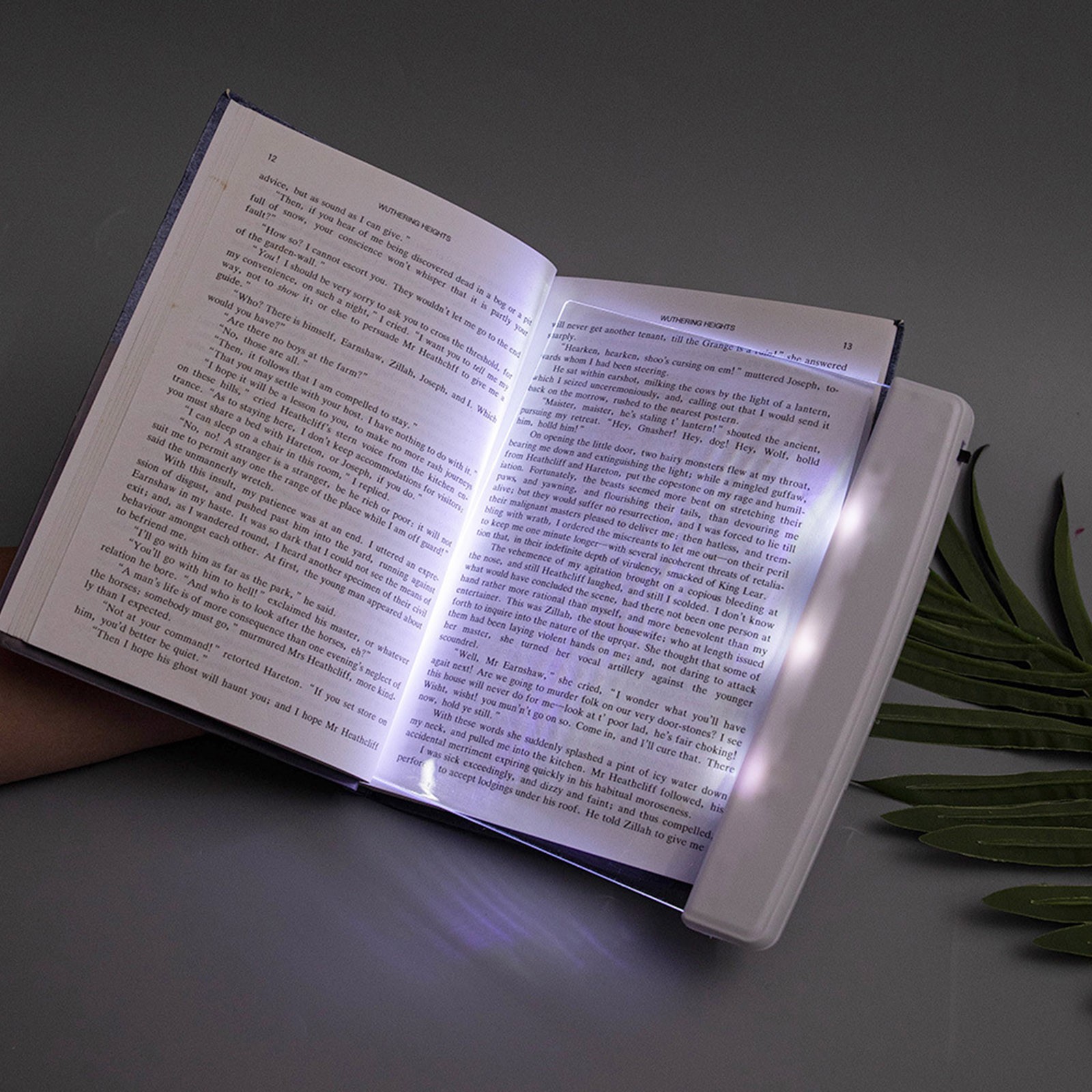 Lampe LED Plate pour la lecture, idéale pour la chambre à coucher, la maison, la chambre à coucher, le voyage, le bureau