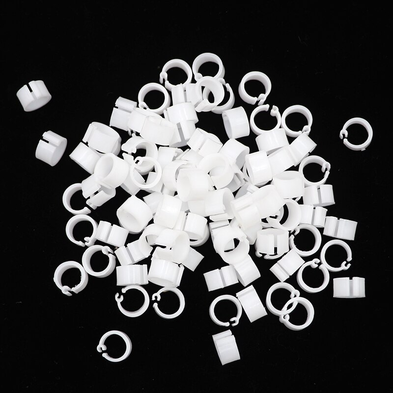 Anillos de plástico para pies de palomas y codorniz, suministros para aves pequeñas, 10 colores, piezas, 100: Oro
