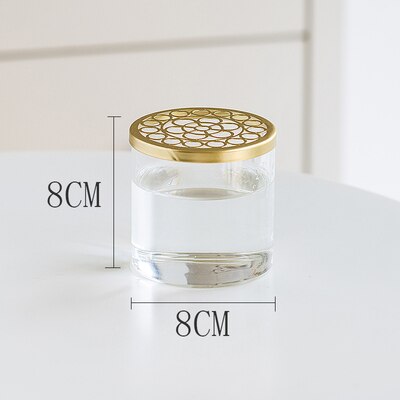 Nordic Transparent Glass Vase Golden Grid Cover Living Room Flower Arrangement Ikebana Decoration Desktop Hydroponic Plants Tool: B