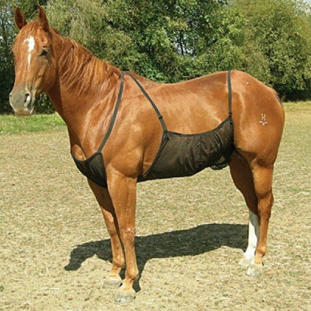 Paard Buik Comfortabele Netto Beschermhoes Fly Outdoor Mesh Anti-Muggen Anti-Kras Elasticiteit Bite Ademend Tapijt