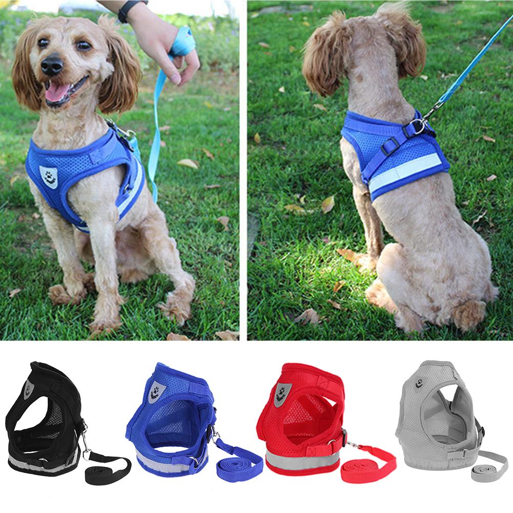 Kat Hond Verstelbare Harnas Vest Wandelen Lead Leash Voor Puppy Honden Kraag Polyester Mesh Harnas Voor Kleine Middelgrote Hond Kat huisdier