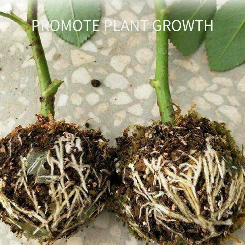 12/8/5cm plant rot planta rotanordning högtryck förökning boll växande låda enhet tryck förökning ympning boll