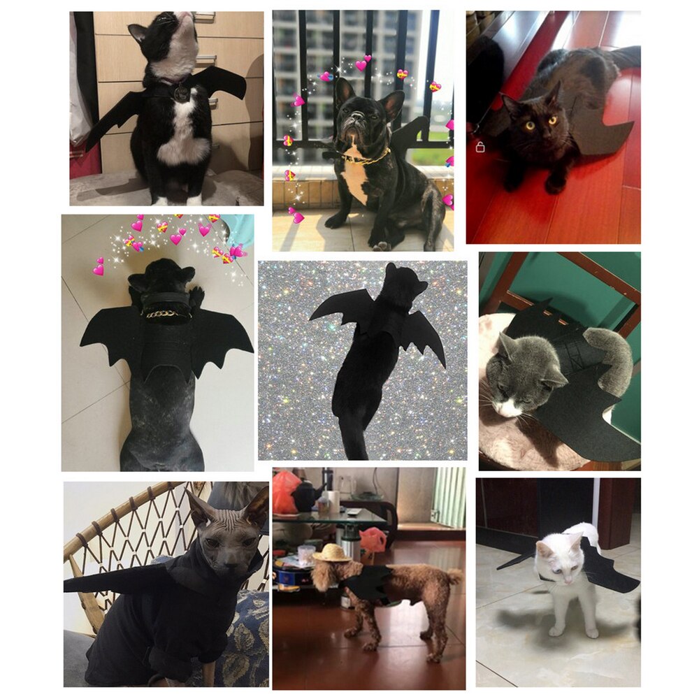 1Pc Halloween Pet Dog Costumes Bat Wings Black Cute Fancy Dress Cat Costume Pet Cosplay Clothing Cat Halloween Costume Bat Wings