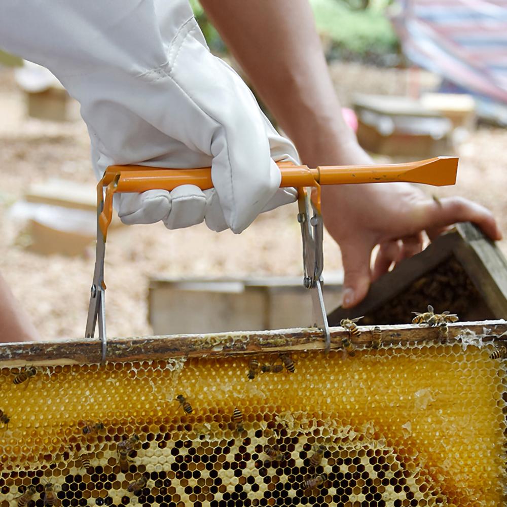 Bijenteelt Gereedschappen Drie Buis Met Schop Noemen Milt Clip Bijenkorf Honingraat Frame Honingraat Clip Multifunctionele 30P