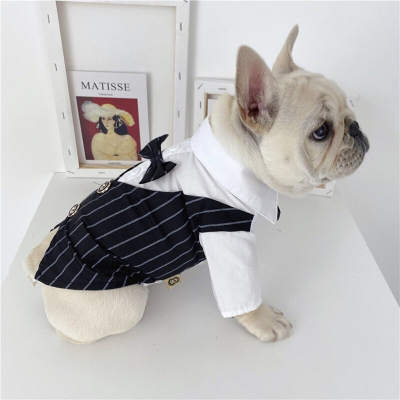 Costume de mariage pour chien, chemise formelle pour petit chien, nœud papillon, costume pour animal de compagnie, costume pour chat