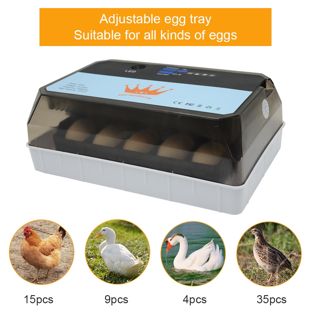 Mini incubadora automática de 15 huevos para pollo, Ganso, pájaro, codorniz, equipo de incubación, herramientas de incubación