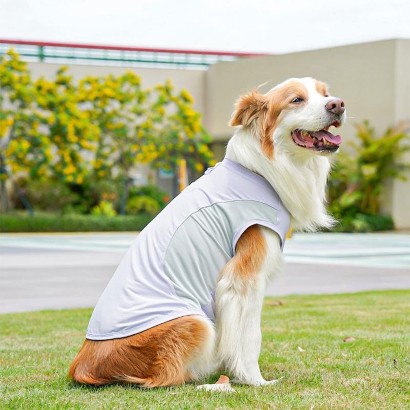 Dog Cooling Vest For Summer Cooling Comfortable Pet Clothing For Outdoor Walking Machine Washable Breathable Polyester 37JD