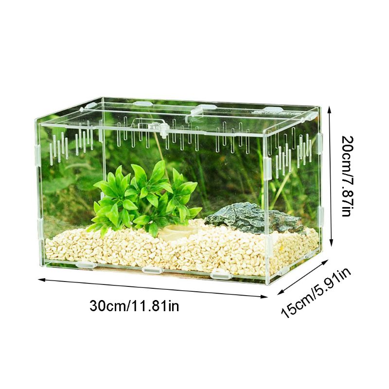 Insect Breeding Box Acrylic 360 ° Transparent Pet Reptile Box Reptile Terrarium U90A