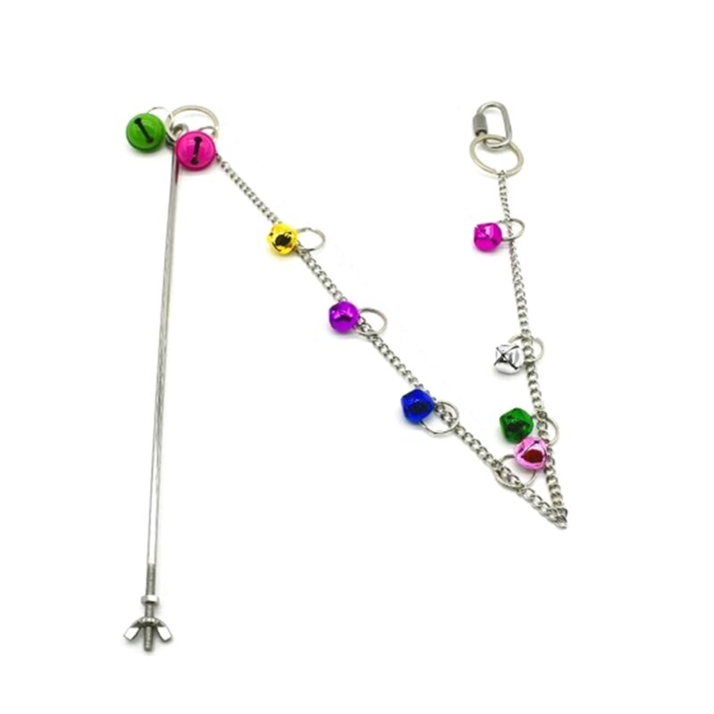 Stainless Steel Bird Hanging Food Holder Parrot Fruit Vegetable Feeder Chain Meat Skewer Foraging Toys for Parrot Parakeet Hens: A