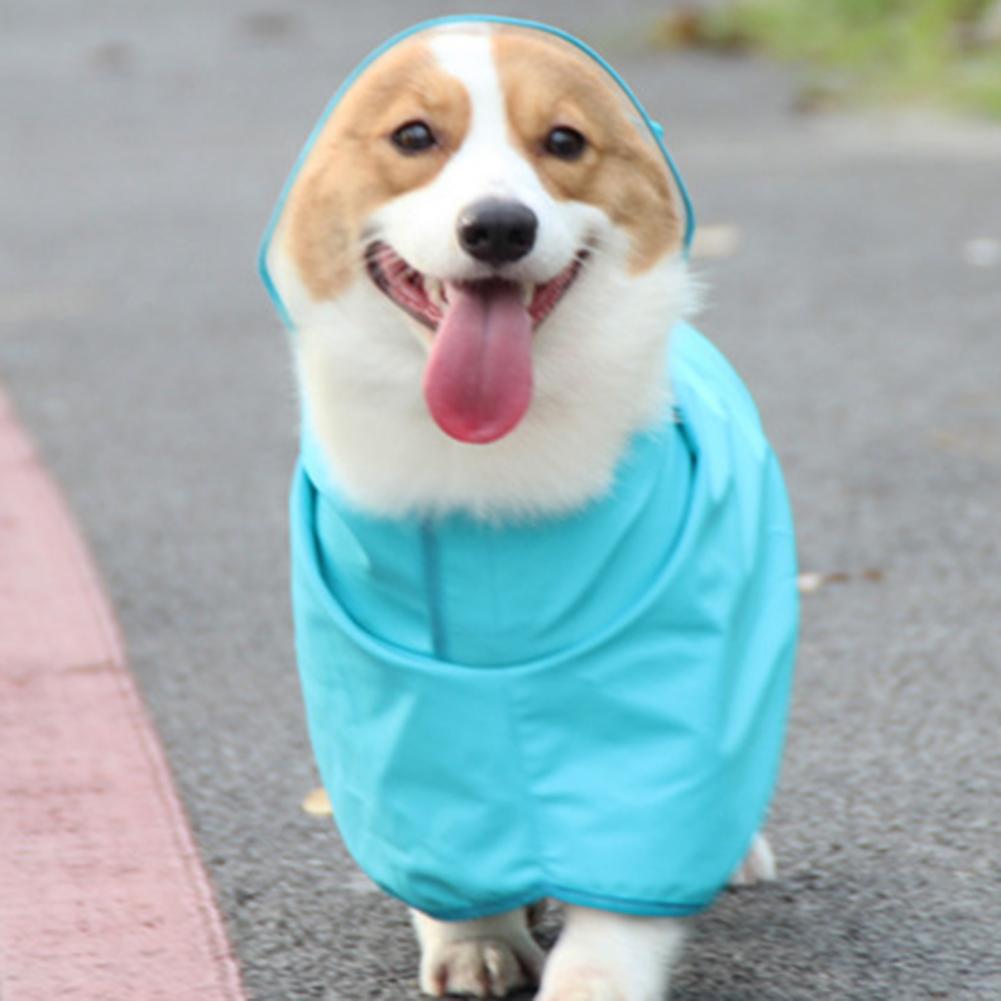 Huisdier Regenjas Transparante Rand Waterdicht Kunstleer Kleine Hond Outdoor Kleding Blauwe Hond Jas Voor Corgi Teddy
