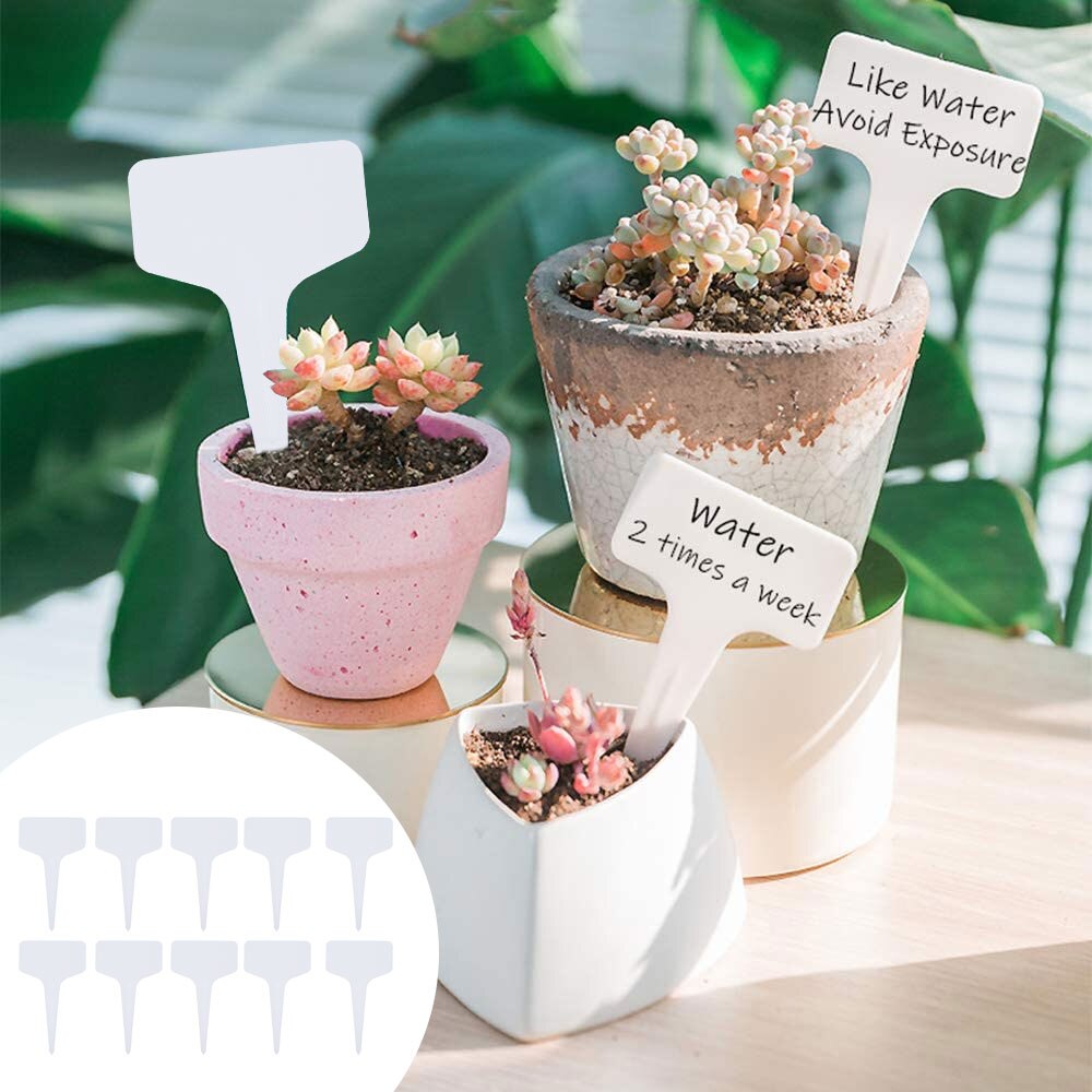3Pcs 12/24 Cellen Zaad Starter Trays Plant Zaden Grow Box Trays Kieming Doos Met Transparante Deksels Doos Kwekerij potten
