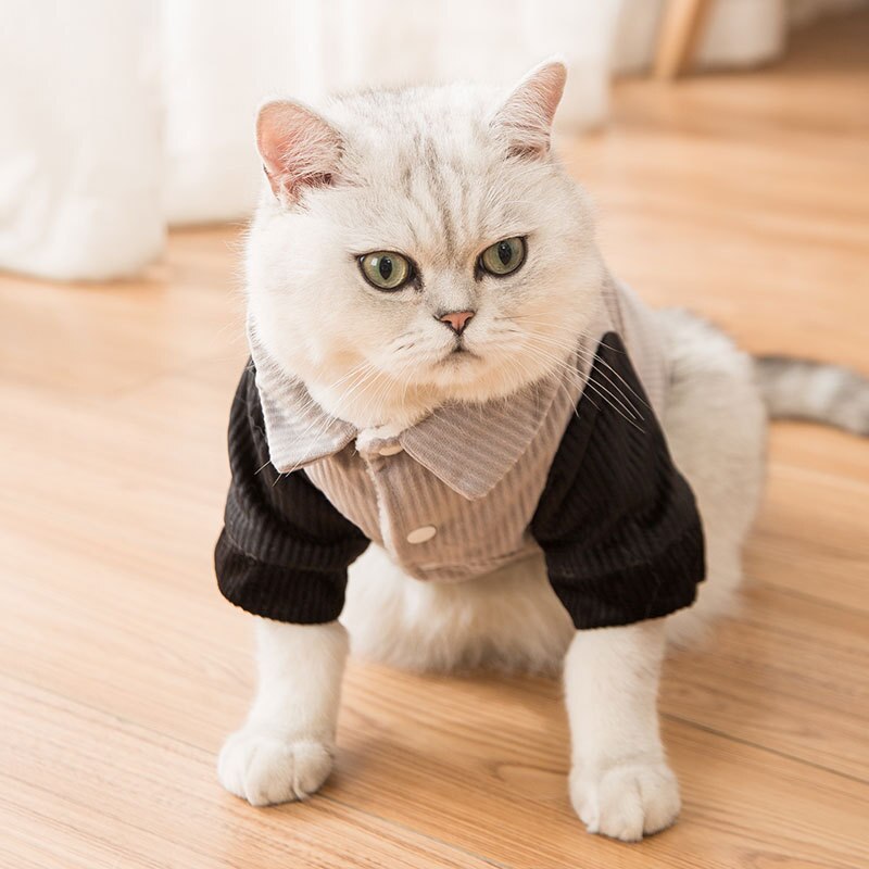 Pet Clothing Cartoon Paw Print Clothes for Dog Down Small Costume Letter Print Girls Win Dogs Cute Autumn Winter Collar Perro