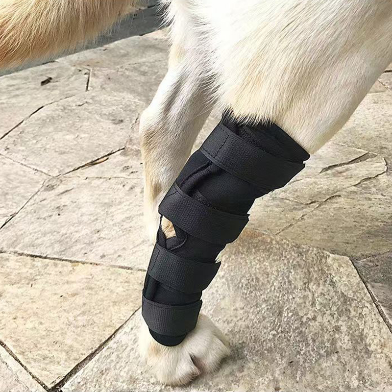 Aquecedores de pernas para cães, cinta auxiliar conjunta para animais de estimação, barril longo, dedicado à recuperação pós-operatória, suporte de fixação ajustável para cães grandes