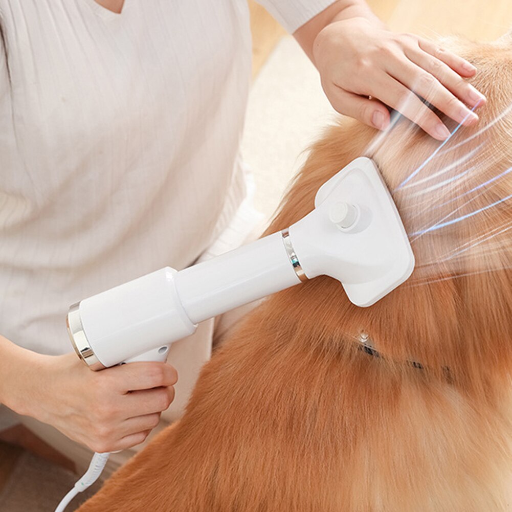 Sèche-cheveux Portable 2 en 1 pour chiens, peigne de toilettage, brosse, souffleur de fourrure, température réglable, faible bruit, fournitures pour animaux domestiques