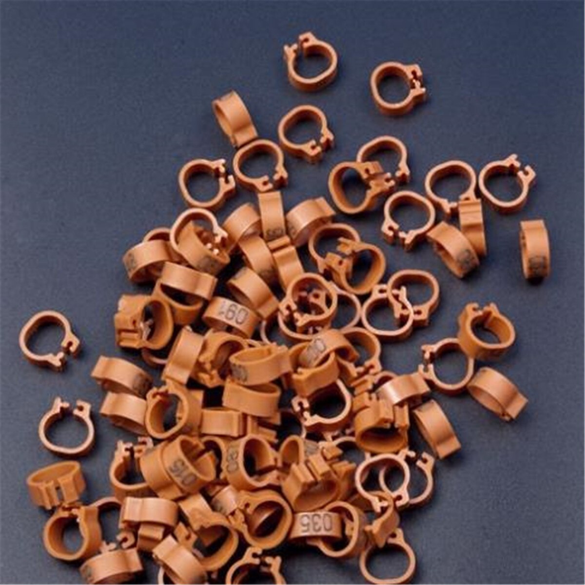 100Pcs Vogel Ringen Been Bands Voor Duif Papegaai Gevogelte Clip Ringen Nummer 1-100: Brown