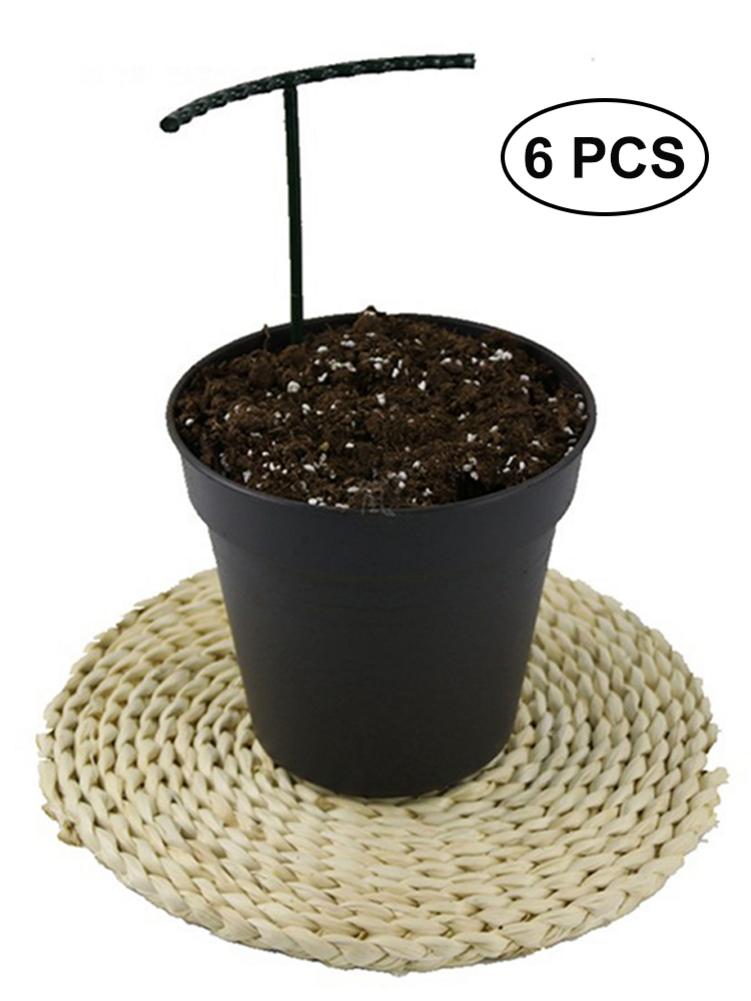 Plantenclips 16 stuks kopen? - België - Dat doe je goed