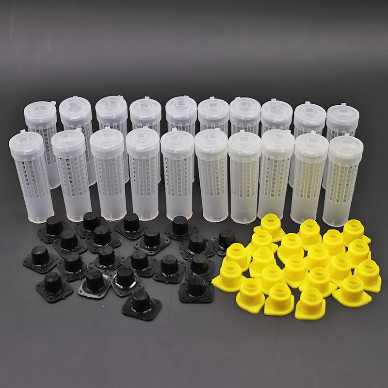 Bees Tools Beekeeping Cages King Queen Rearing Cupkit System Bee Catcher Box Cell Cups Cage Nicot Complete Kit Apicultura