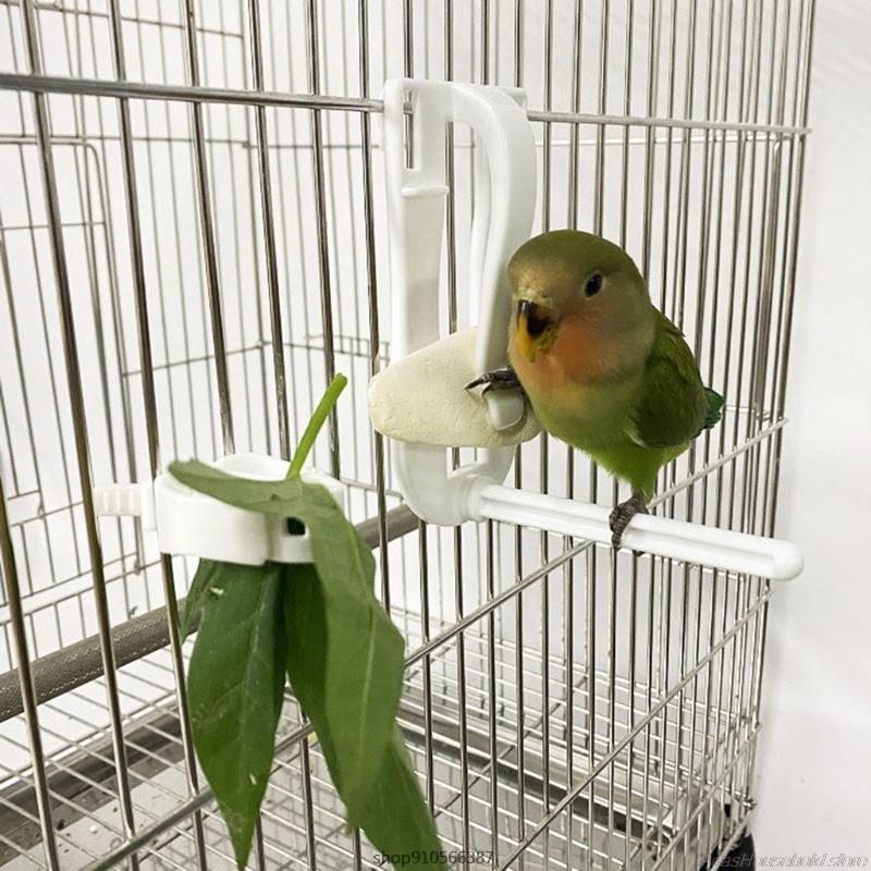 Soporte de comida de pájaros para mascotas, Clip para alimentación de loros, frutas y verduras, dispositivo alimentador de jibión, Pin, abrazadera, accesorios para jaulas de pájaros,