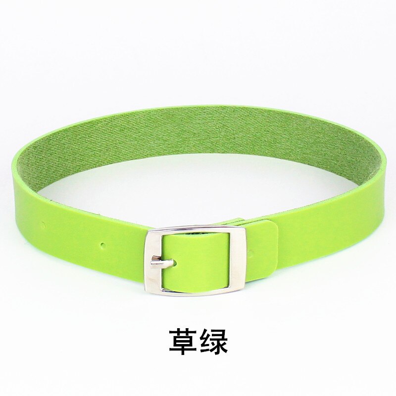 Necklace For Women's Neck Sweetheart Harajuku Punk Rock And Roll Leather Collar: Grass Green