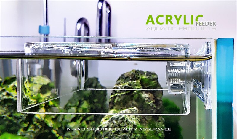 Fish feeder bracket ring aquarium tropical fish fr... – Vicedeal