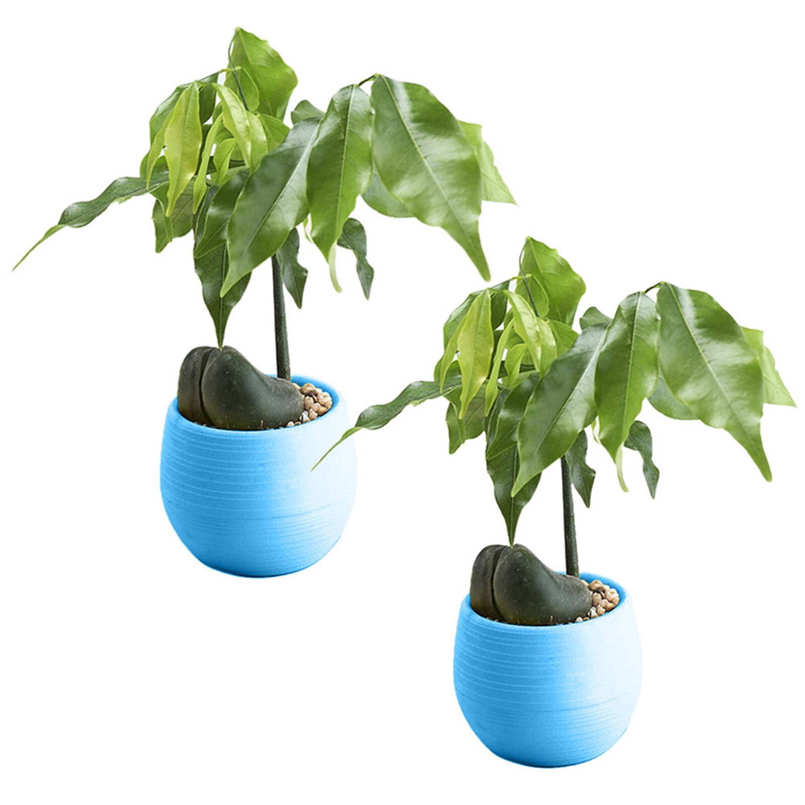 Watering Planter Handmade 2 Layer Self Watering Plant Flower Pot With Water Container Round Flowerpot Home Garden Decor: A