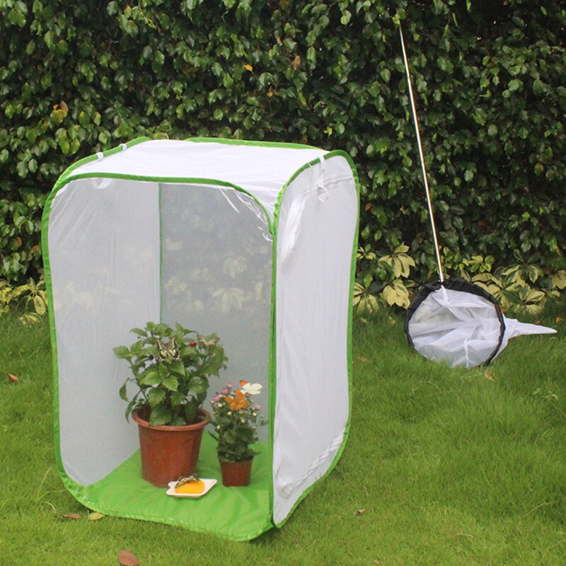 Insect Butterfly Kit Original Habitat Life Science Education Butterfly Kit Foldable Insect Cage Butterfly Garden NOV99