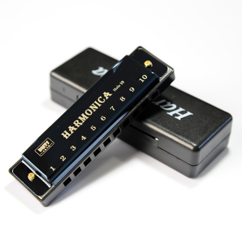 Harmonica à 10 trous et 20 tons,orgue de bouche diatonique en do, pour blues, jazz, pour l&#39;éducation précoce des bébés, l&#39;entraînement au sens musical,: Black