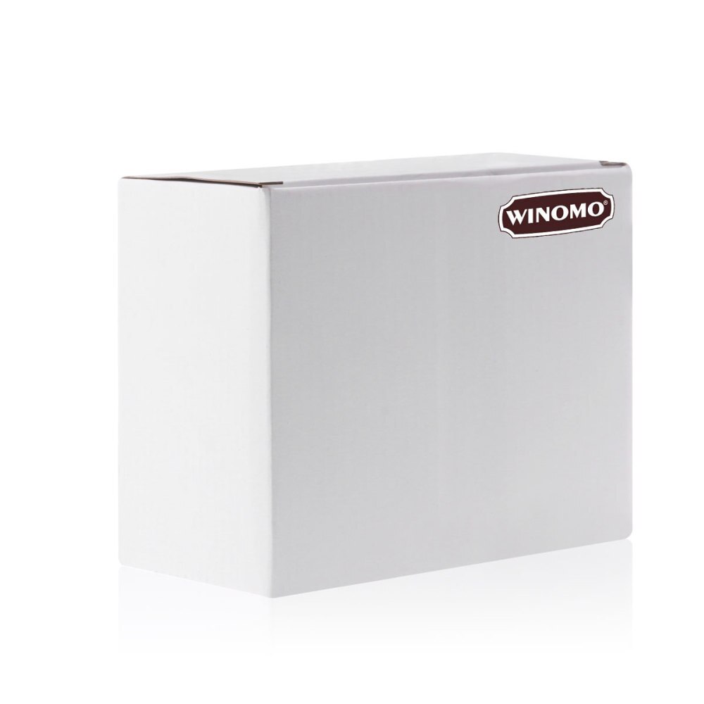 WINOMO 12v Universal Motorcycle Motorbike Scooter Anti Theft Alarm System with Double