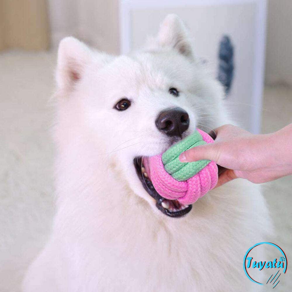 6 paquetes de cuerda de algodón perro de juguete del animal doméstico juguete de perro pequeño limpios los dientes de perro pelota para masticar juguete para perros pequeños perros cachorro interactivo Durable