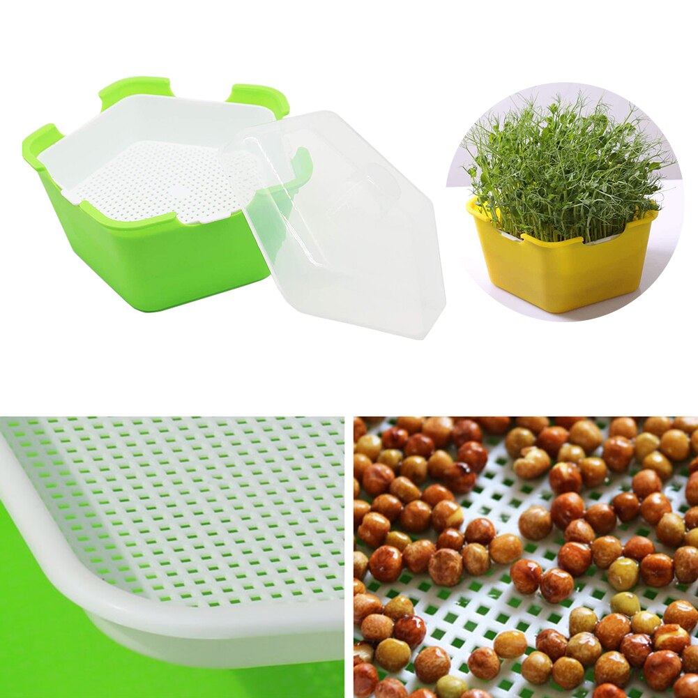 Bandeja para germinación de plantas, caja de plástico portátil a prueba de humedad para plantación de vivero, bandeja de semillas de brotes multifuncional