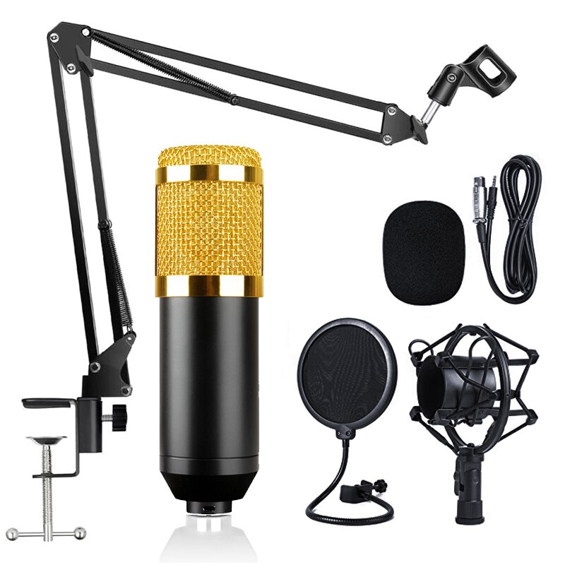 Condenser Microphone BM800 Kit with Cantilever Support PC Mobile Compatible Studio Vocal Recording Microphone BM800: Type 2