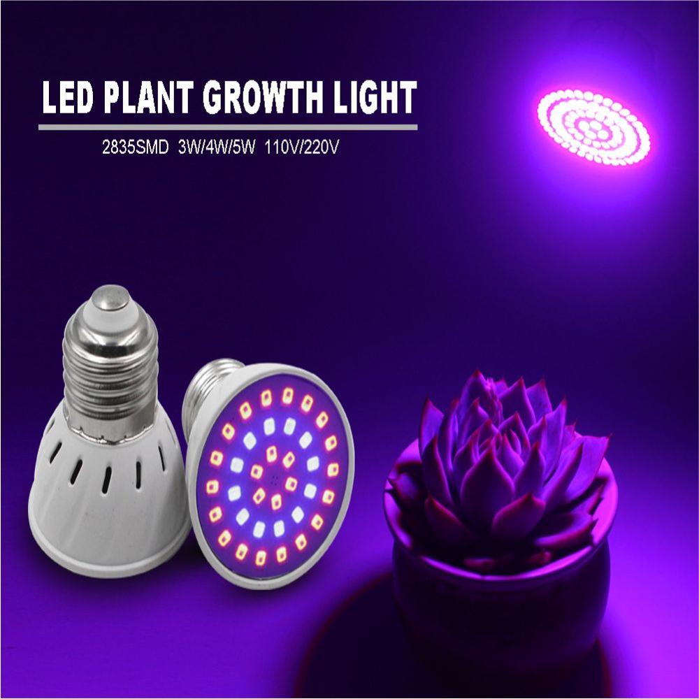 4PC traîneau plante ampoule semis légume plante croissance lampe hydroponique spectre complet lampe UV