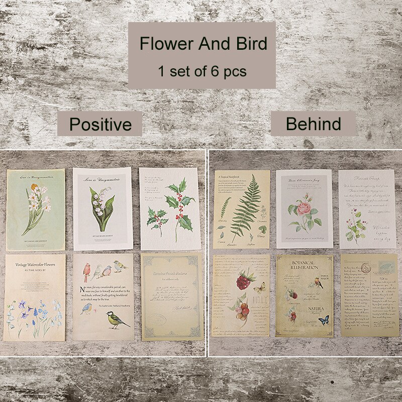 6pcs Retro Props English Lepu Flowers Birds Text Paper Photo Background INS Old Double-sided Props Photography Shooting Backdrop: Flower and bird