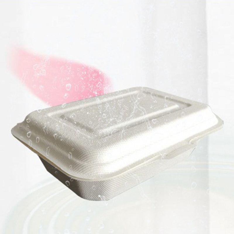 50 Pièces/sac 450ML Jetable À Emporter Contenants Alimentaires Dégradables Restes Lunchbox