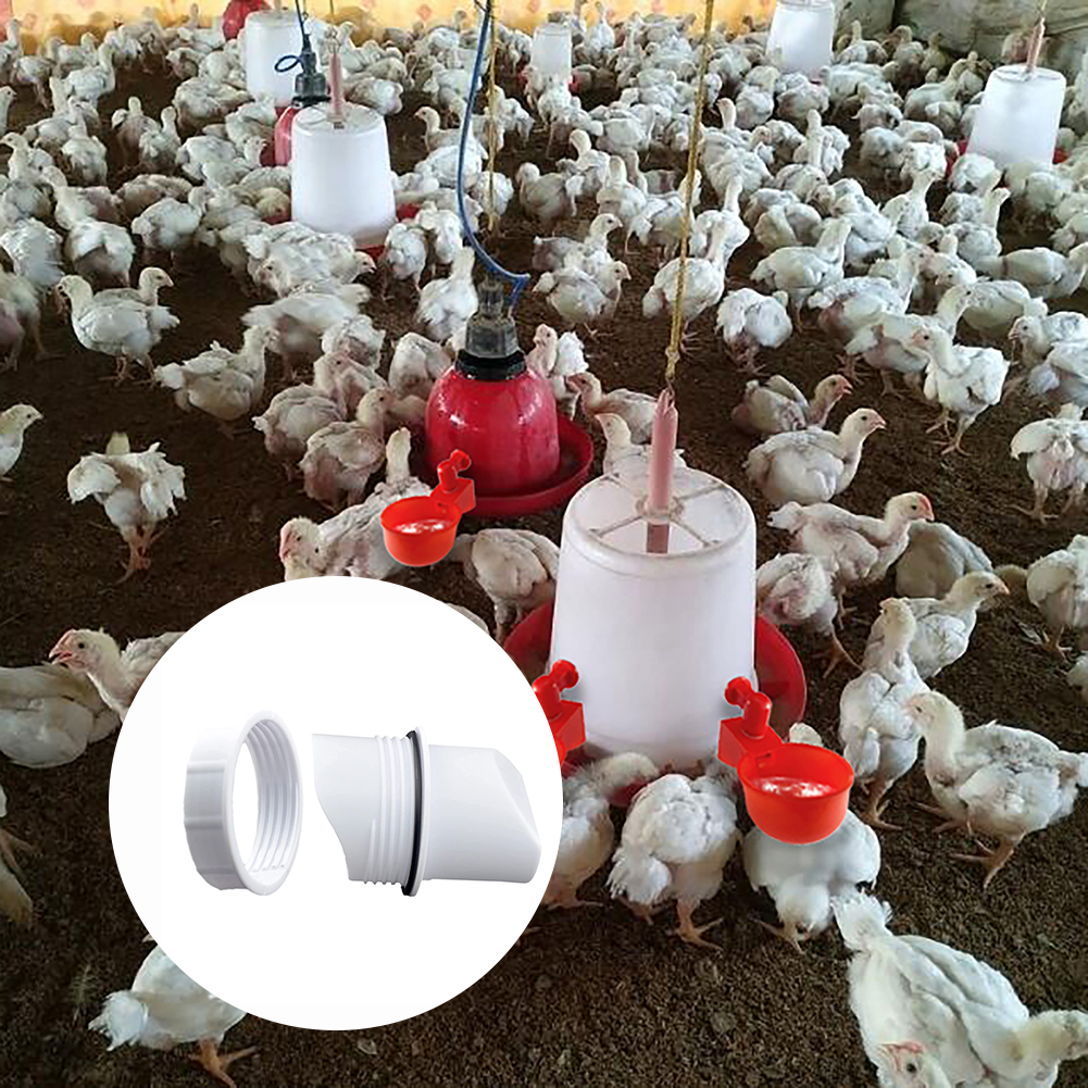 Rainproof Poultry Feeder Port Set DIY Poultry Pro Feeding Kit Special Tools For Breeding Chickens Ducks Poultry Feeder