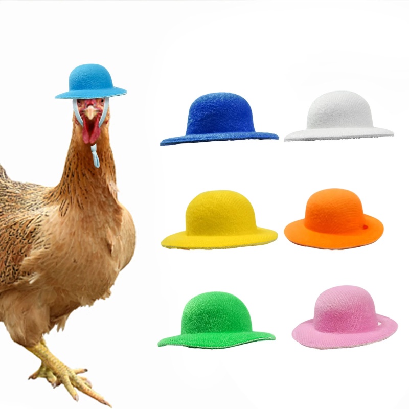 Sombrero de pollo para gallinas, mascotas pequeñas, accesorios divertidos para pollo, sombrero de copa para gallina, gallo, pato, loro, hámster, aves de corral, disfraz de espectáculo