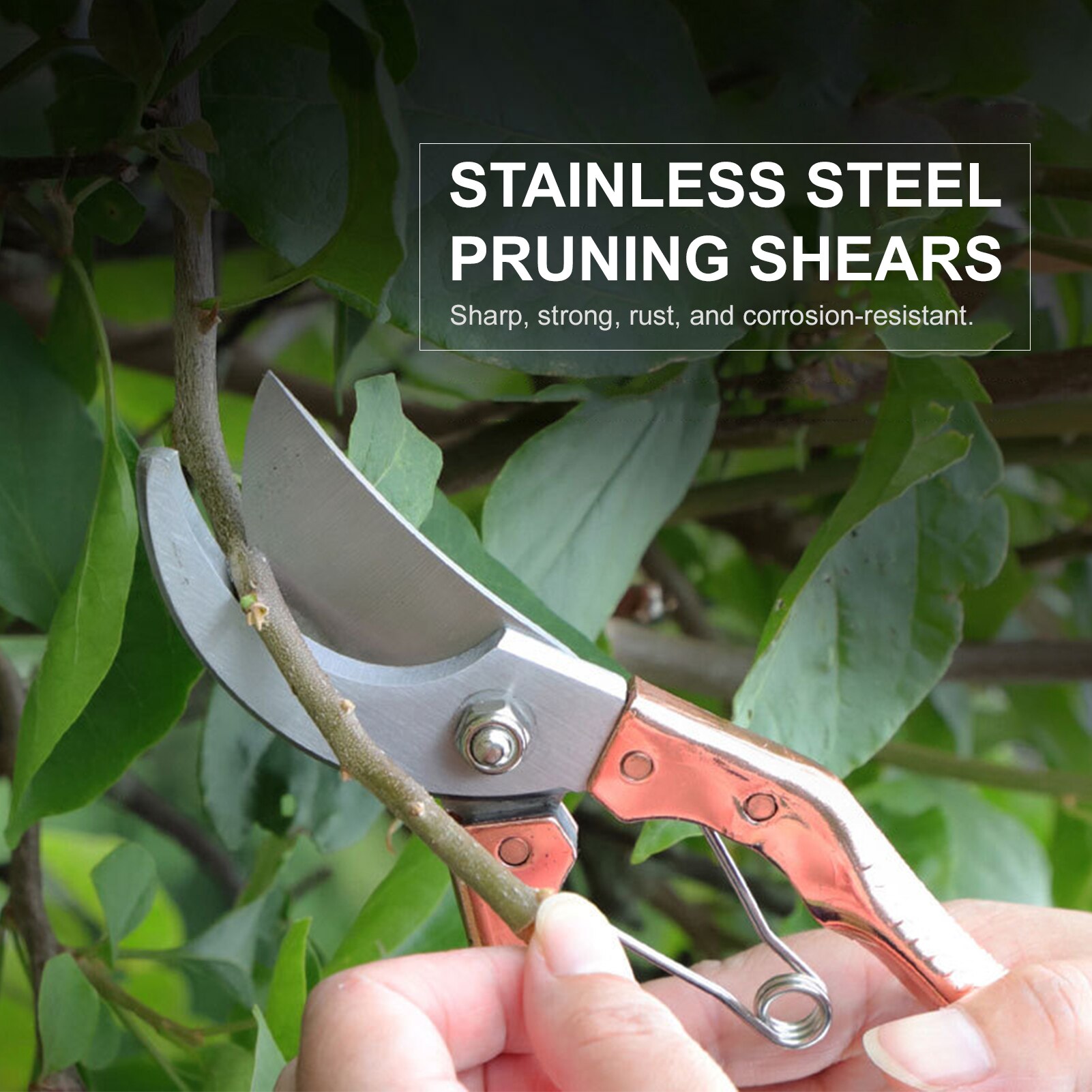 Plant Trim Horticulture Hand Pruner Cut Secateur Shrub Garden Scissor Garden Tools Anvil Branch Shear Orchard Pruning Shears