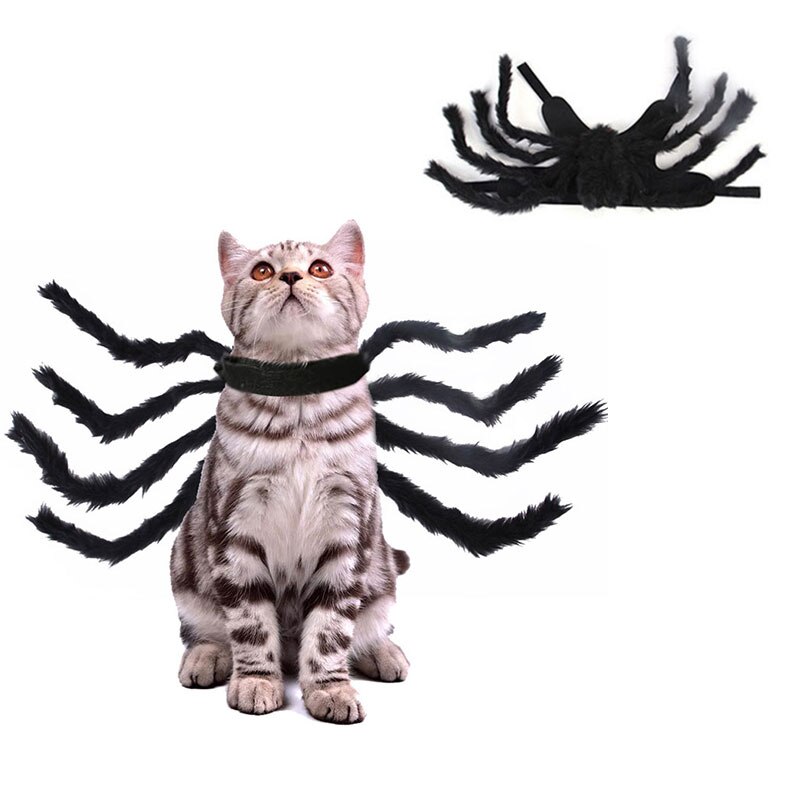 Halloween spinnenkostuum voor honden en katten halloween spinnenkostuum voor huisdieren: Zwart s