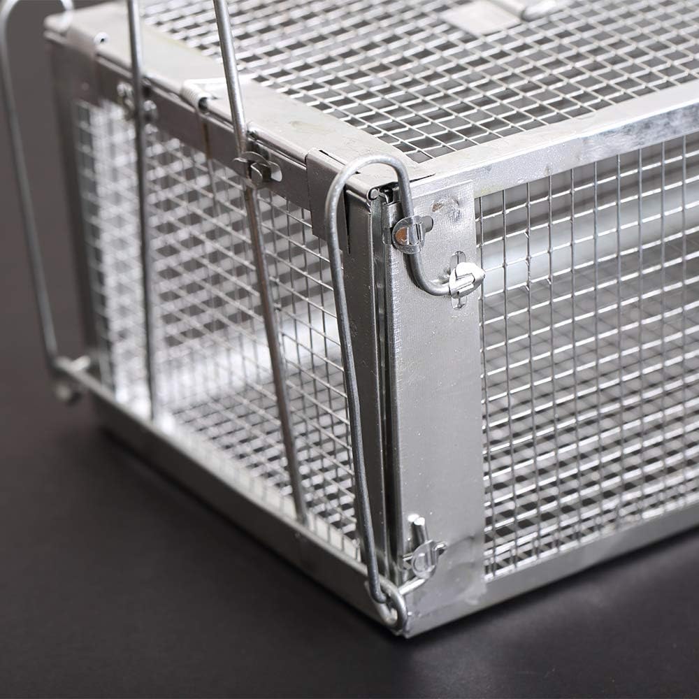 Live Humane Cage Trap for Squirrel Mouse Rat Mice Rodent Animal Catcher for Indoor and Outdoor Small Animal