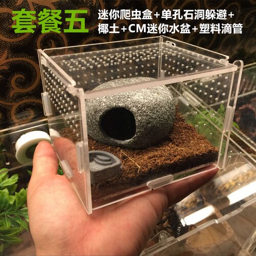 Acrylic Insect Cage with Accessories Spider Lizard Reptile Breeding Box Reptile Terrariums Reptile Home Box Gecko Tortoise House: E