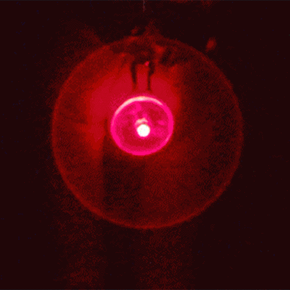 Huisdier nachtveiligheid led zaklamp halsband hond gids lichten gloeiende hanger ketting huisdier lichtgevende heldere gloeiende halsband in het donker 8