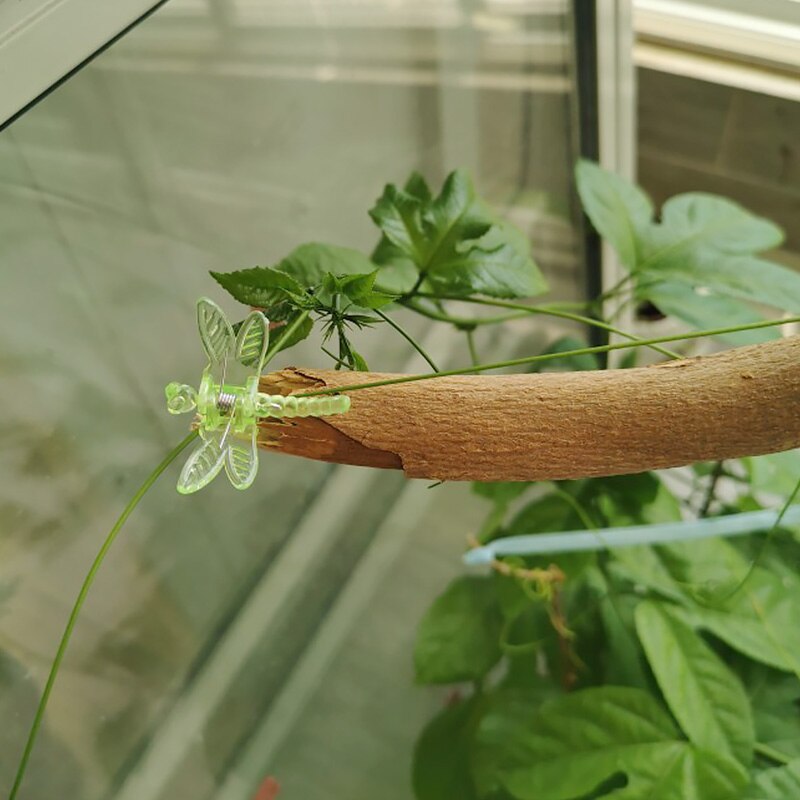 10 stk plast vin fix klip farverig sommerfugl guldsmede formet plante blomst podning fixering klip have forsyninger