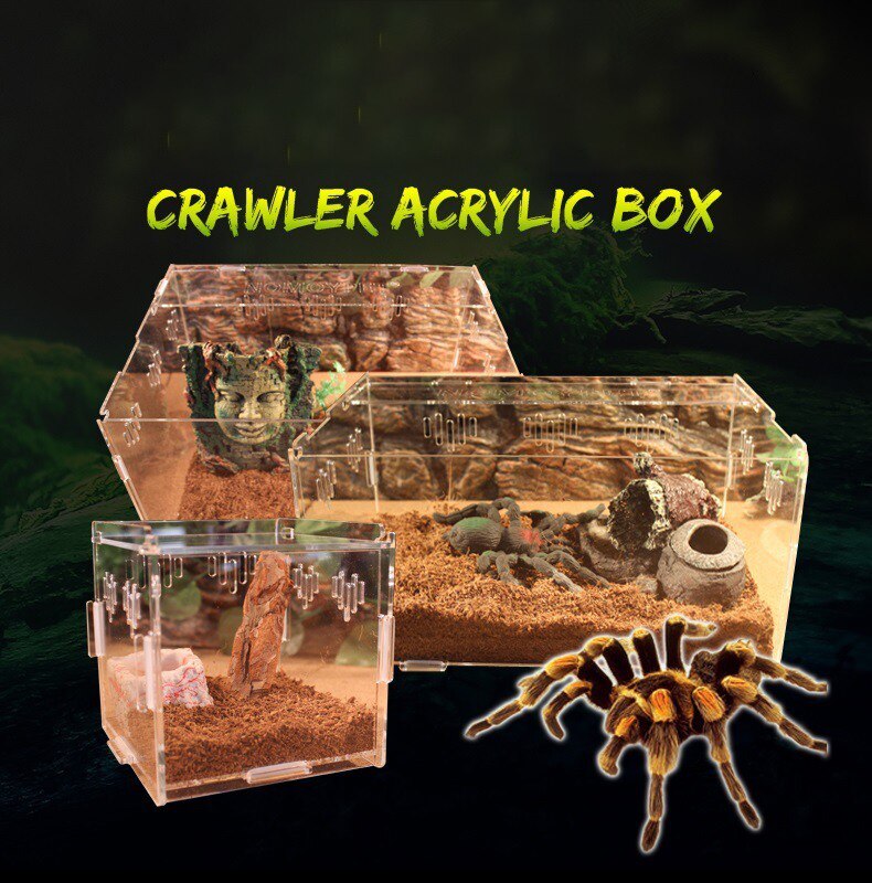 Reptiel Fokkerij Doos Acryl Transparante Spin Hagedis Schorpioen Enti &#39;S Acryl Gemonteerd Insect Ademend Terrarium
