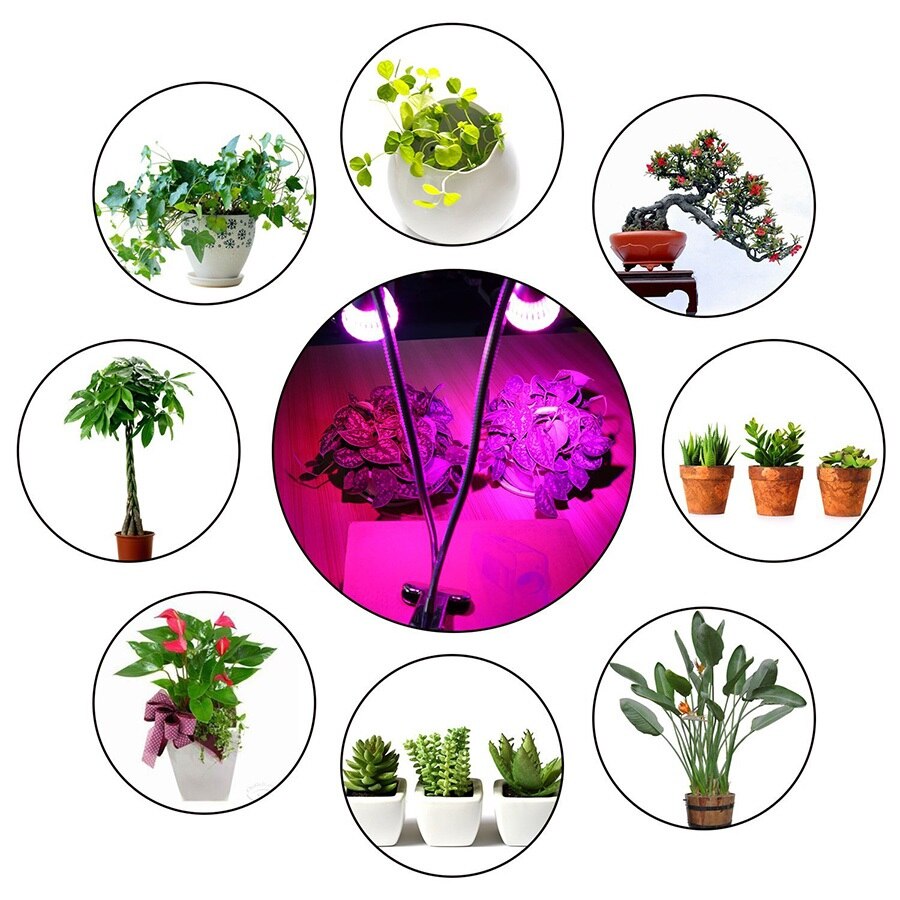 Dual Head Led Grow Lamp Premium 10W Desk Clip Led Plant Verlichting Met 360 Swivel Flexibele Zwanenhals Voor Indoor home Office Plant