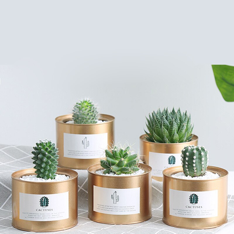 Maceta de Metal para jardín, maceta de hierro suculenta, contenedor de almacenamiento, maceta decorativa para jardín, flor Artificial, oro rosa, plata, negro, 27