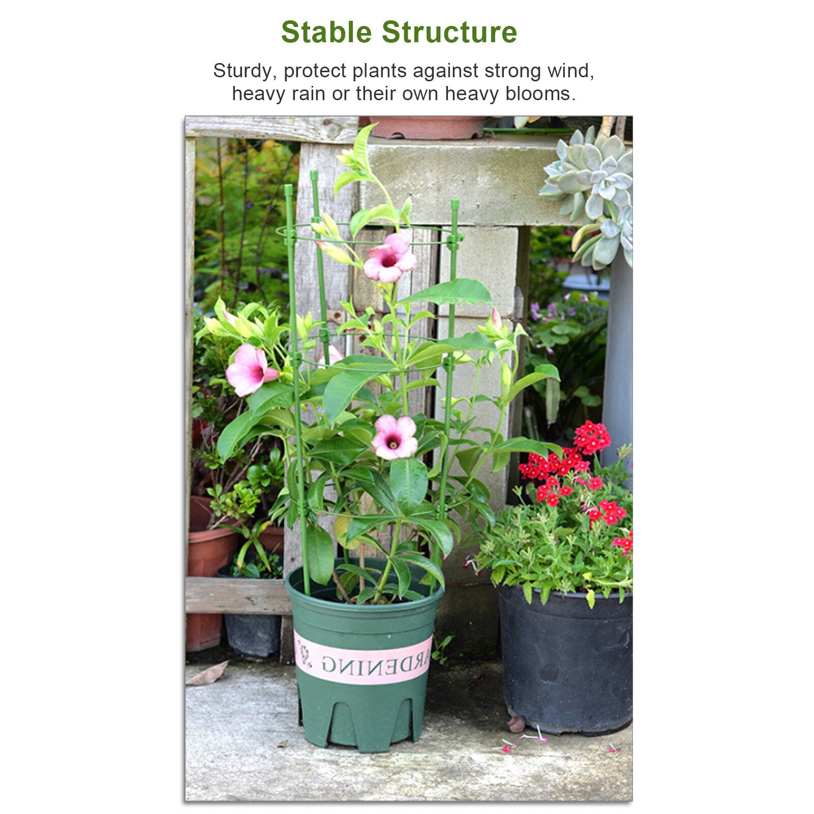 Support de vigne grimpante de jardin, cage de soutien pour plantes en pot, cadre en plastique, fleurs et légumes, Support décoratif en treillis, fournitures de jardin