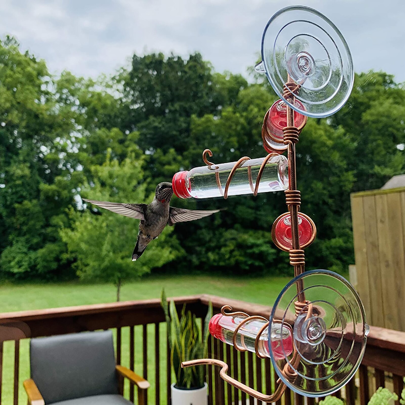 Innovative Hummingbird Feeder Suction-cup Bird Feeder For Parrot Lovebird Pigeon Hanging Viewing Feeding Tool Pet Accessories