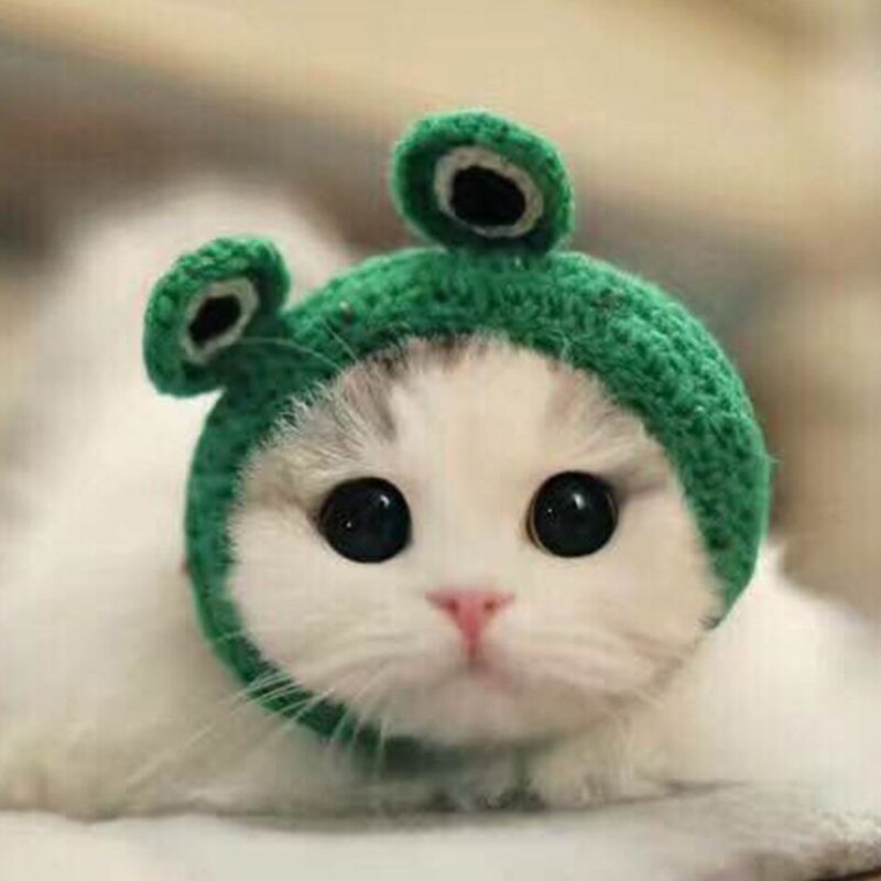 Chapeau tricoté à la main pour animaux de compagnie, chapeau pour chien, chat, grenouille, joli , accessoires pour petits animaux de compagnie