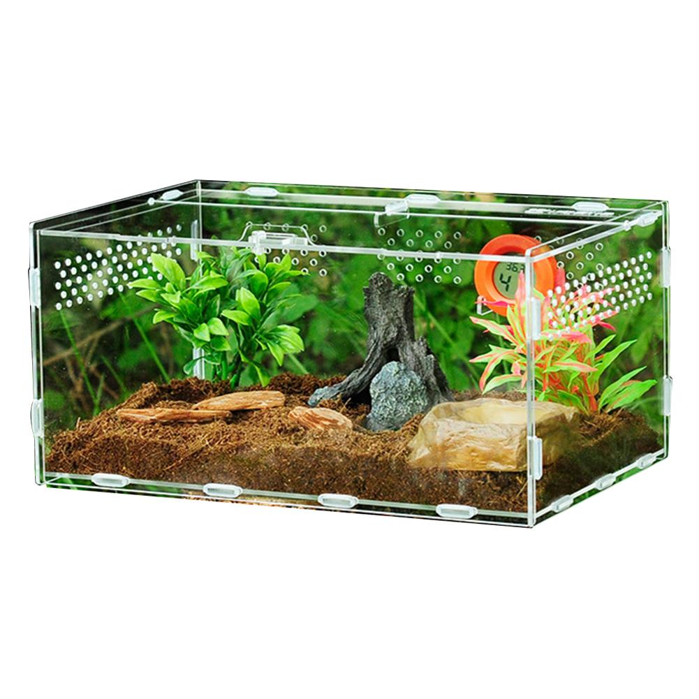 Acrylic Reptile Box For Spiders Tortoise Lizard Breeding Insect Box Vents Sliding Small Pet Terrarium Vivarium Breeding Box: 25X15X15CM