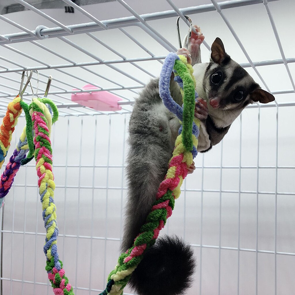 2 Pack of Small Animal Activity Toy, Rat and Ferret Cotton Rope Nets, 24-inch Long